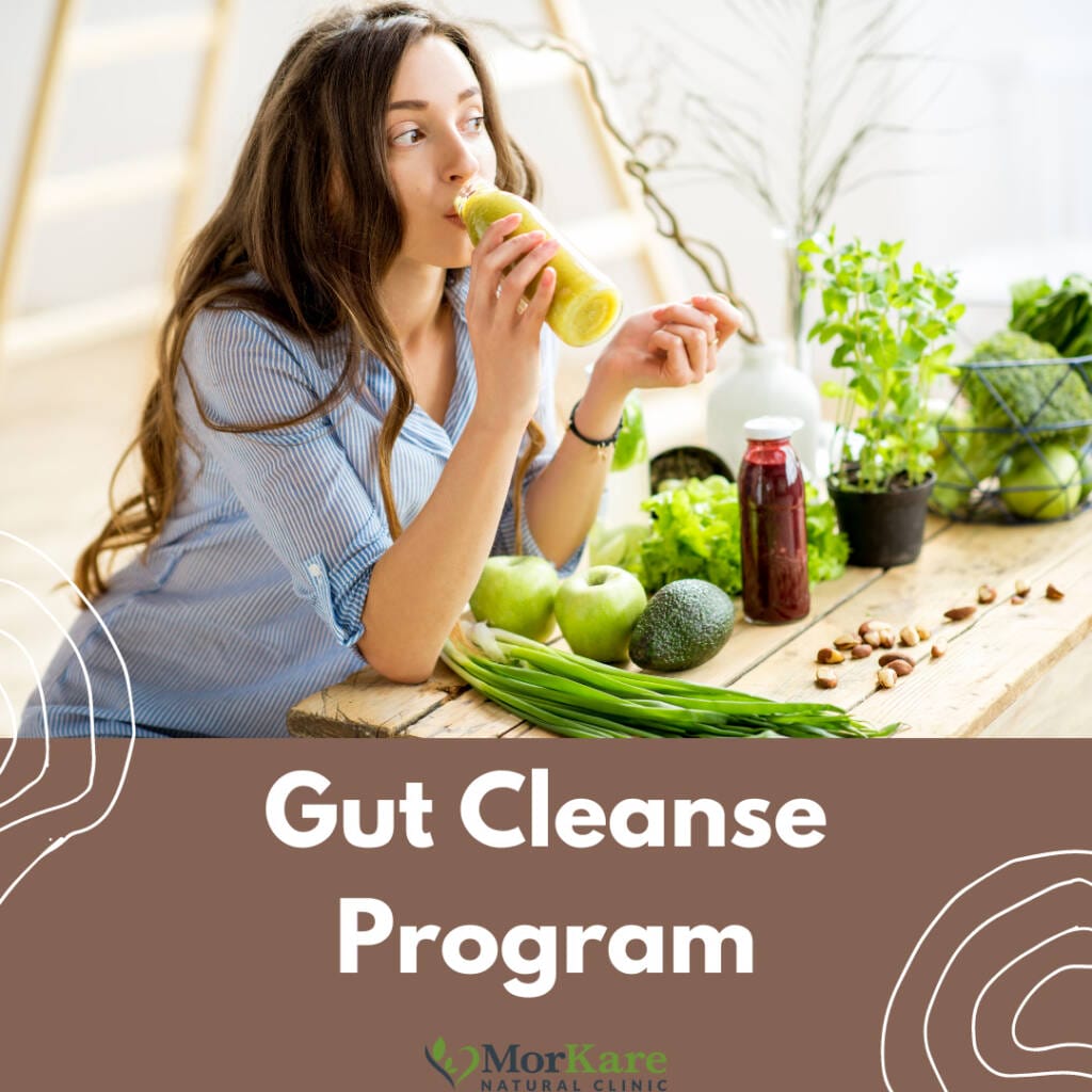 Gut Cleanse Detox program protocol in Brisbane, Australia. Best Naturopath in brisbane for gut cleanse detox, parasite, bacteria, candida