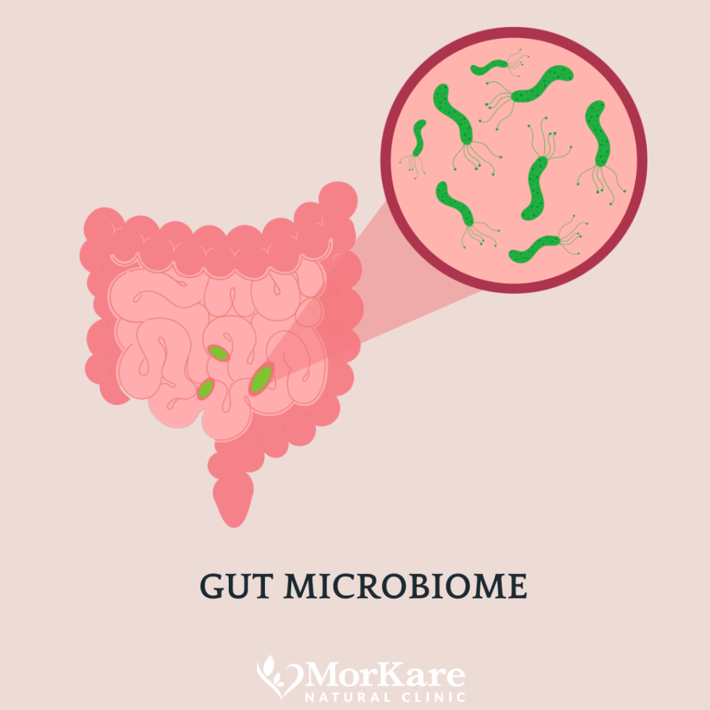 Gut Microbiome bacteria, pARASITES, sMALL INTESTINAL BACTERIA, pROBIOTICS