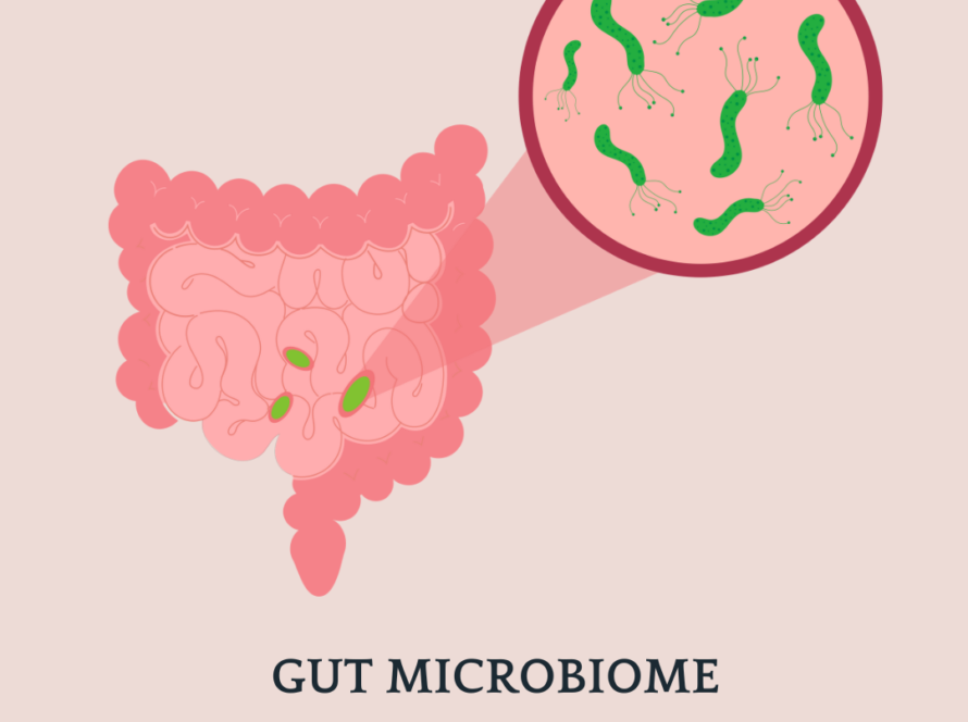 Gut Microbiome bacteria, pARASITES, sMALL INTESTINAL BACTERIA, pROBIOTICS