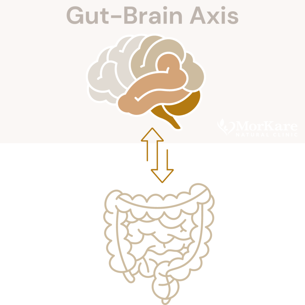 Brain-Gut-Microbiome, Gut brain Axis Symptoms and diseases. Neurodiversity, Autism, Adhd, anxiety, research, brisbane, Australia