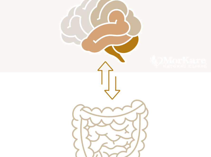 Brain-Gut-Microbiome, Gut brain Axis Symptoms and diseases. Neurodiversity, Autism, Adhd, anxiety, research, brisbane, Australia