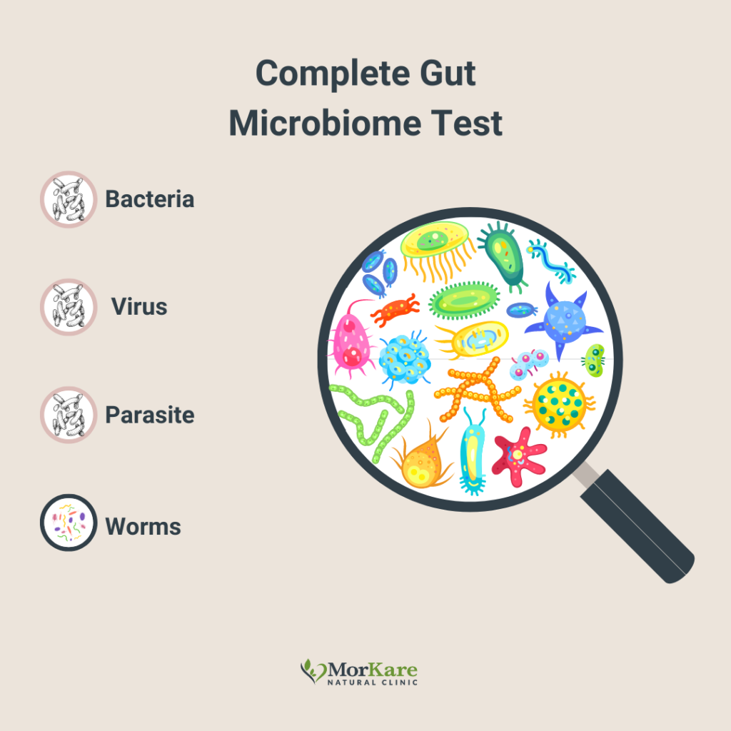 Complete gut microbiome test map Brisbane Australia best naturopath, best homeopath, best nutrition