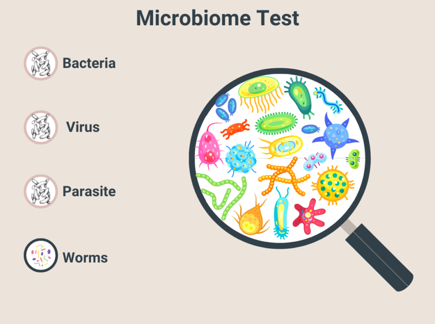 Complete gut microbiome test map Brisbane Australia best naturopath, best homeopath, best nutrition