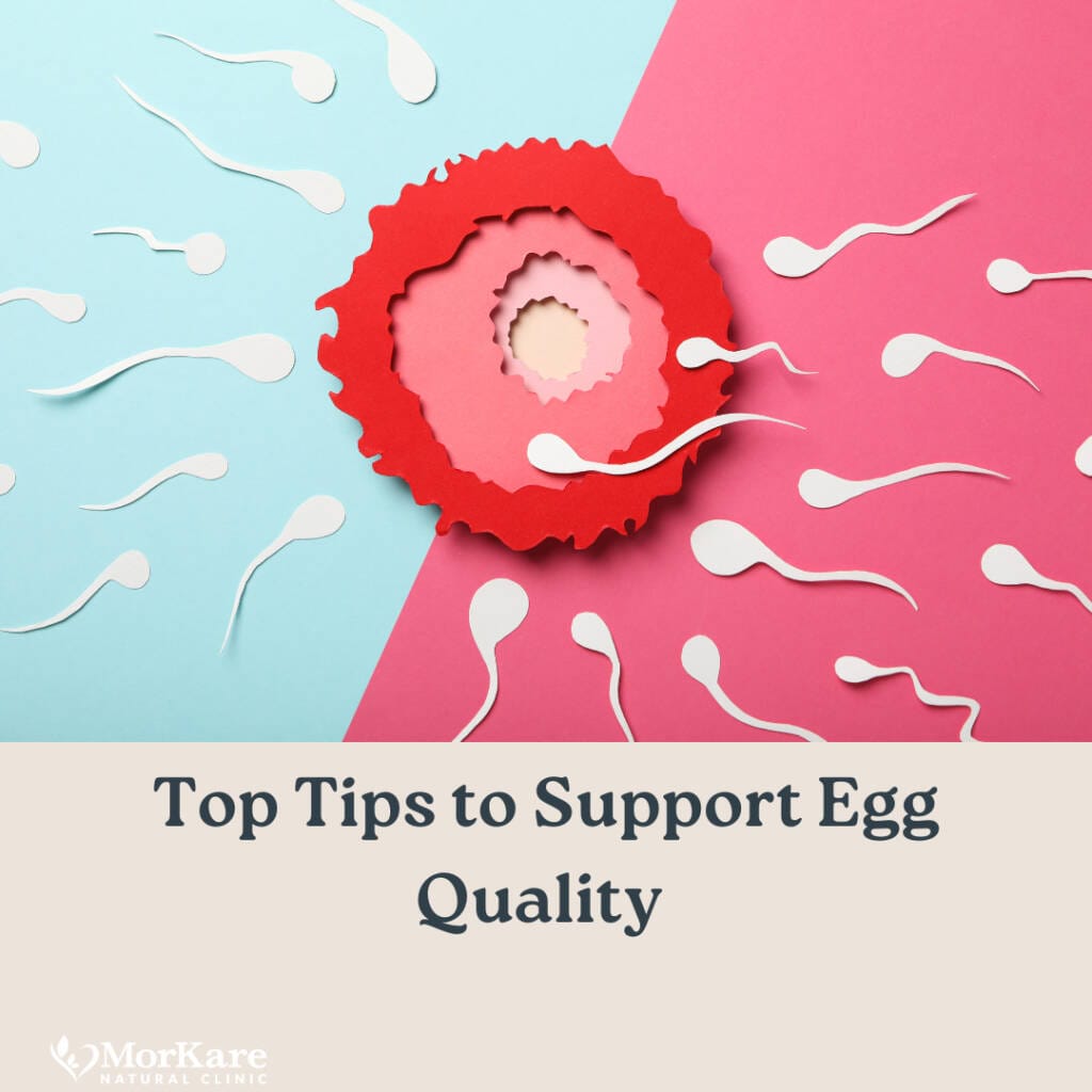 Natural Fertility, Egg Quality Brisbane, IVF Naturopaths, Best in Brisbane