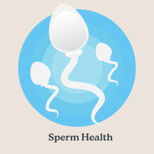 Find the best natural health options for improving sperm quality. Enhance sperm motility, quality to improve chance of fertility and starting a family.